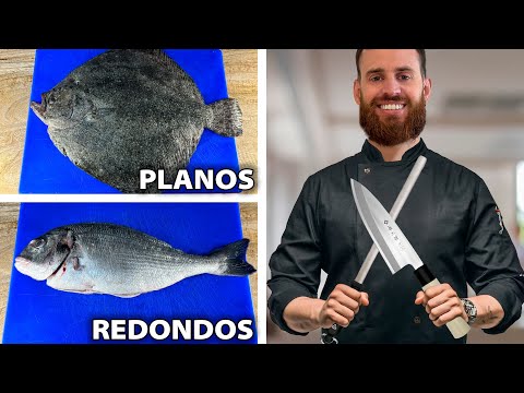 Guía Definitiva Para Limpiar Todo Tipo De Pescado