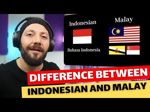 🇨🇦 CANADA REACTS TO How Different Are Indonesian and Malay?! reaction