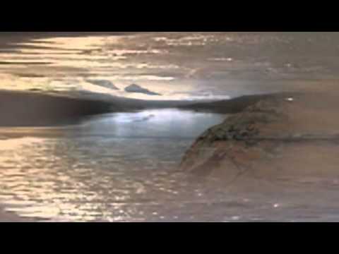 You Are Pure Awareness ~ Mooji