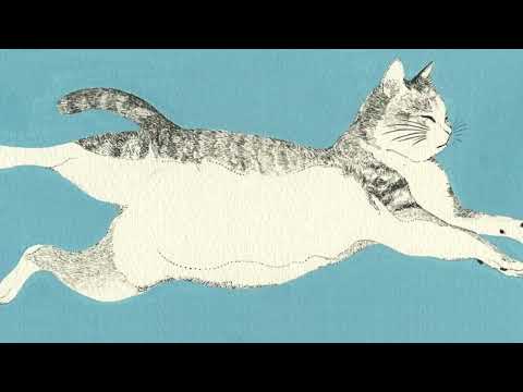 Niwamori Piano All Songs Collection 8 Hours