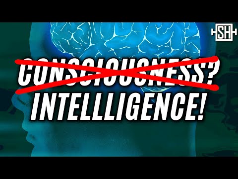 What is "Intelligence"?
