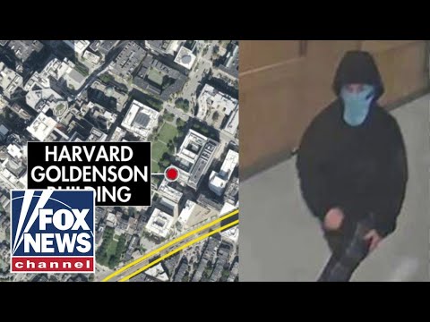 BREAKING: Alleged Harvard explosion suspect pictured on cam