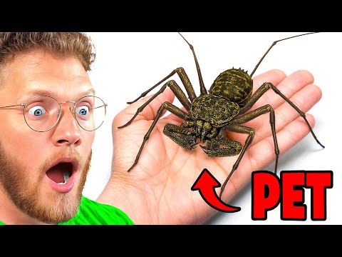 He Adopted a Pet Alien (sort of)