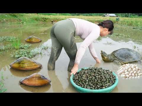REWIND TIMALSPE --366 Days Catching A Lot Of Snails, Mussel, Big Fish,...Go To Market Sell