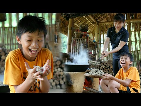 Ly & 13 year old homeless boy harvested a peanut garden to prepare food to sell | Daily Life