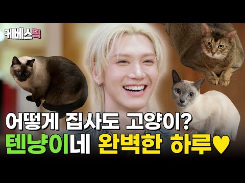 집사까지 고양이가 넷😻 WayV 텐과 반려묘 루이&레비&리언의 행복한 일상 공개!  #동물은훌륭하다｜KBS 250310 방송