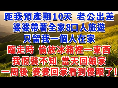 距我預產期10天 老公出差，婆婆帶著全家8口人旅遊，只留我一個人在家，臨走時 偷放冰箱裡一東西，我假裝不知 當天回娘家，一周後 婆婆回家看到傻眼了！#小娟講故事 #情感故事 #老年生活