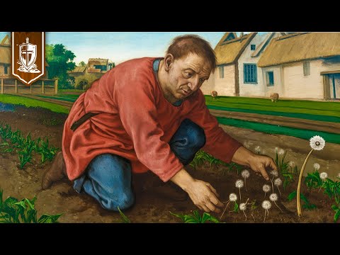 15 Common Weeds That Were Expensive Medieval Superfoods ( Growing in Your Yard Right Now!)