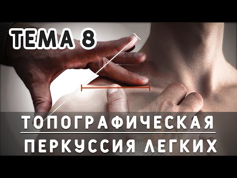 Тема 8. Топографическая перкуссия легких