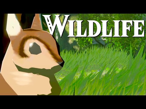 Wildlife on The Great Plateau | A Zelda Nature Documentary