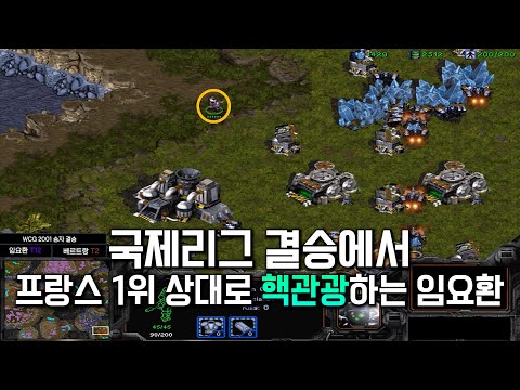 혼자서 세계대회를 양학해버리는 임요환