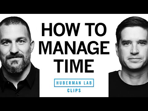 Maximize Productivity With These Time Management Tools | Dr. Cal Newport & Dr. Andrew Huberman