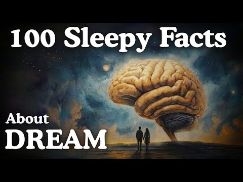 Where Do Our Dreams Come From? Psychology Facts for Sleep
