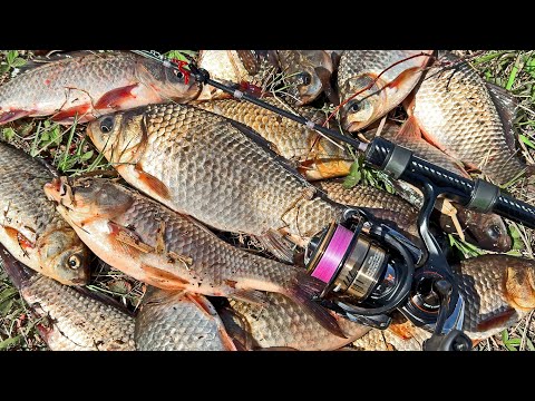 ТЕПЕРЬ ЛОВЛЮ КАРАСЯ ТОЛЬКО ТАК. ПОПЛАВОЧНИКИ В ШОКЕ, что есть такая рыбалка