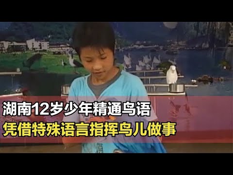 A 12-year-old boy in Hunan province is fluent in bird language and can command birds to do things...