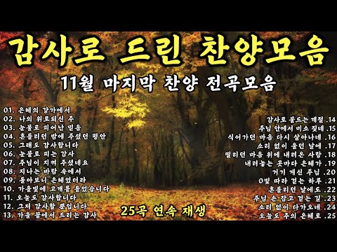 🍂감사로 물든 찬양모음(중간 광고 없음) ✨11월 마지막 찬양 전곡모음 | 1시간 찬양연속듣기 | CCM Playlist✨| #ccm#찬양#감사찬양
