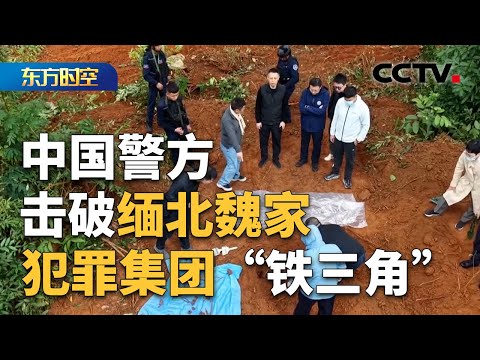 视生命如草芥 结拜竟然要“杀人祭天” 央视梳理缅北魏家覆灭之路！| CCTV「东方时空」
