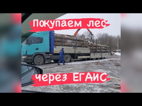 Пилорама, как бизнес. Покупка леса, через ЕГАИС.