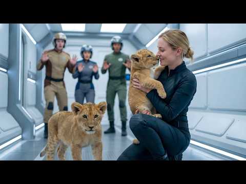 The Cubs Practiced “Predator Stare” — The Human Kissed Their Noses And Ruined The Whole Intimidation