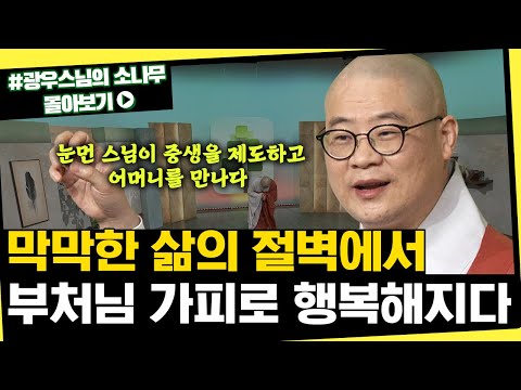불전을 올리는 것이 아깝다고 생각했던 노보살이 얻은 깨달음 [초심으로 돌아가는 광우스님의 소나무 시즌3 몰아보기]