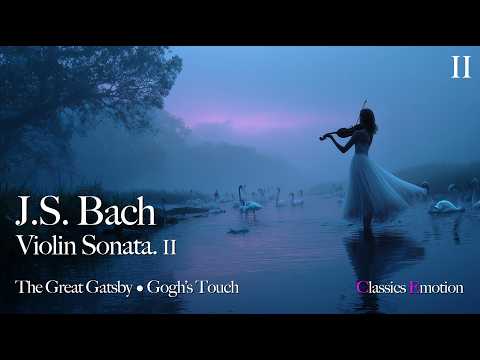 Bach – Violin Sonata | Where Silence Remembers Love | Classical Emotions