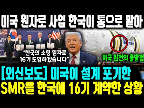 [외신보도] 미국이 설계 포기한 SMR을 한국 16기 계약한 상황 ㅣ 미국 원자로 사업 한국이 통으로 맡아 ㅣ한국 SMR 제작 능력 하나로 미국 전력 표준이 재편된다