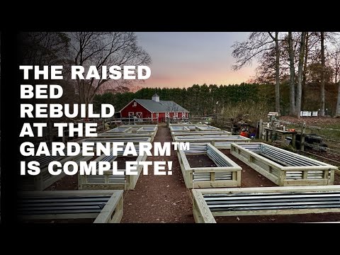Why I Tore Out My Raised Beds and How I Rebuilt Them to Last
