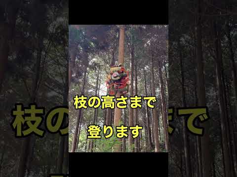 えだうちやまびこ復活! (私有地)#Shorts