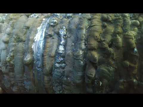 Инвертор Форсаж 161 какой ток на трубе?