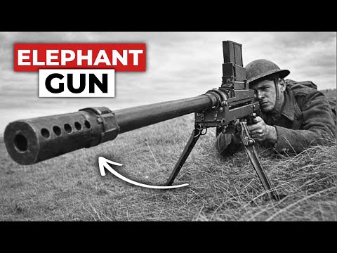 Why This 'Obsolete' British Rifle Made Rommel Change Tactics