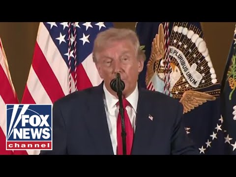 Trump participates in reception with business leaders in Tokyo