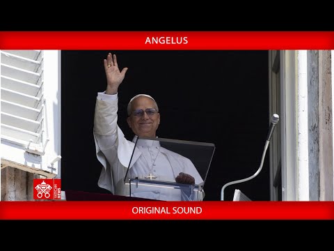 December 8, 2025 Angelus prayer- Pope Leo XIV