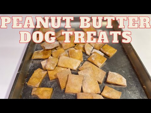Healthy Homemade Peanut Butter Dog Treats 🐶