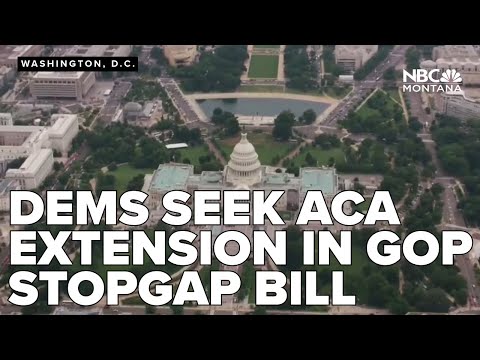 Are Democrats willing to take partial victory in health care fight to end gov't shutdown?