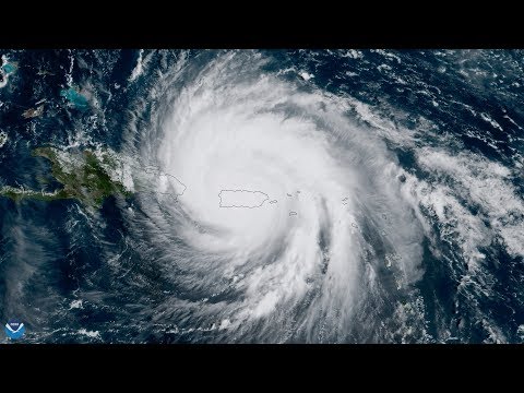 Primate Researchers Aid in Puerto Rico Relief Effort