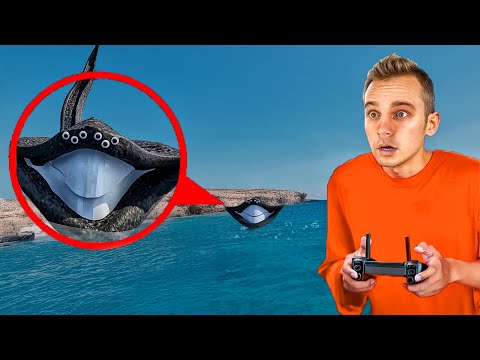 我的无人机拍到了现实中的海洋吞噬者、El Gran Maja 和 The Bloop! | Anglikosik CN 用中文