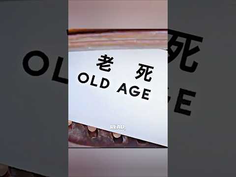 This Machine Predicts Your Death With 100% Accuracy #shorts #movierecap