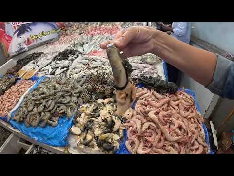 Египет Хургада Выживание в Африке 1.10 #jamalredsea #viral #video #travel #beach #egypt #africa