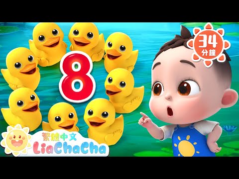 數鴨子 | 數字兒歌特輯 | 啟蒙教育 | 國語童謠 | 人氣兒歌 | LiaChaCha 依娜和恰恰 - 繁體中文 - 兒歌童謠