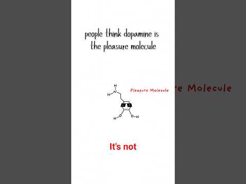 How to Trick your brain doing the hard thing #dopaminedetox #animation #monkeymind101 #monkeymind