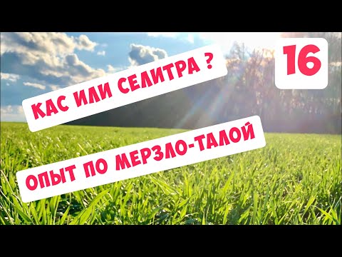 КАС или Селитра - опыт 2020 по мерзло-талой почве, начало...