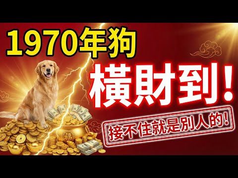 命裡有時終須有！1970年屬狗人，年底前有一筆「橫財」要進賬，接不住就是別人的了！速接！#1970年屬狗 #屬狗運勢 #生肖狗運勢 #偏財運 #橫財 #招財風水 #生肖命理 #發財 #生肖狗 #屬狗