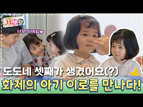 도도네 셋째가 생겼다고?! 화제의 아기 양이로 도도남매와 만나다!｜ [#내아이의사생활 EP.24] #둠칫