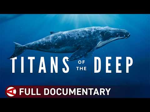 Titans of the Deep: The Secret World of Whales