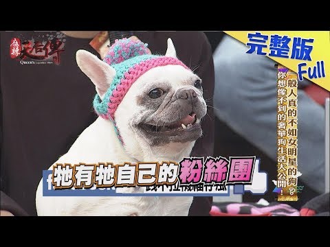 【完整版】一般人真的不如女明星的狗？你想像不到的奢華狗生活大公開！2018.02.01《麻辣天后傳》