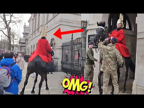 🔴WATCH: You Never Believe This! Wait Until You See How This Horse Reacts!