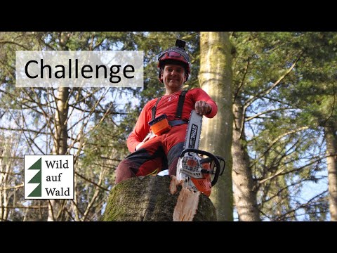 🌲Fällung: Schiefe Buche EXTREM steil und gefährlich mit Stihl 500i und Hexacut fällen #wildaufwald