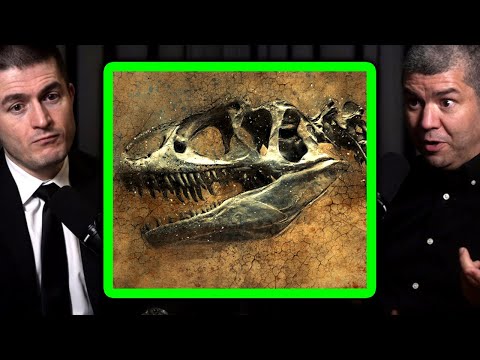 How to dig up dinosaur fossils: Paleontologist explains | Dave Hone and Lex Fridman