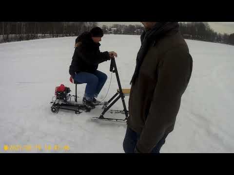 Муравей на гусенице часть 2