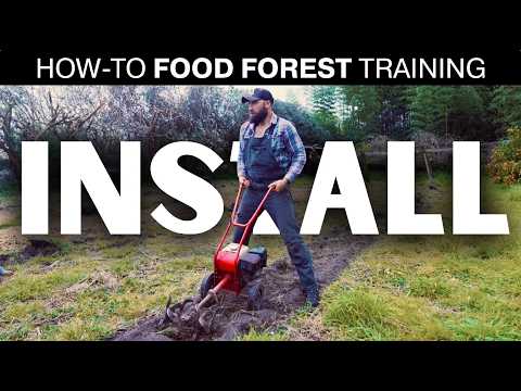 How to PLANT & INSTALL a Food Forest (Syntropic Training)